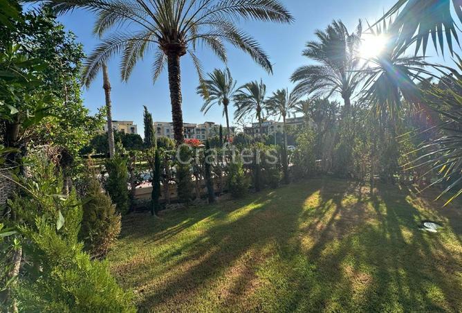 67997624 - صورة العقار 2