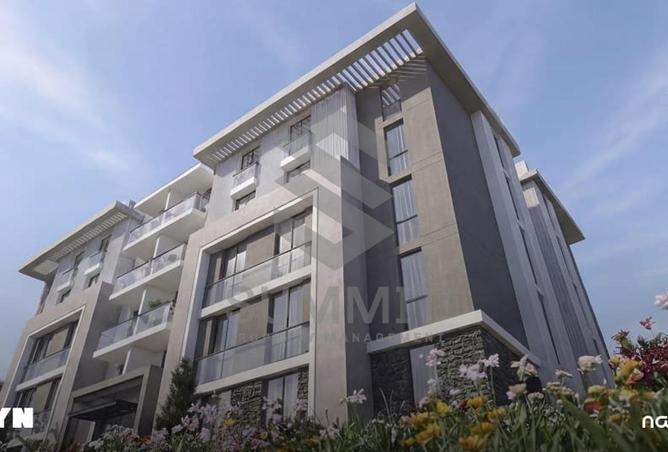 66957810 - Property Image 3