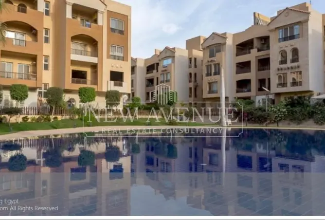 118803830 - Property Image 2