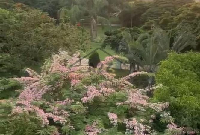 8507940 - صورة العقار 2