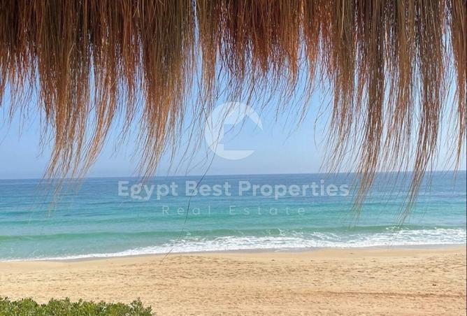97440725 - Property Main Image