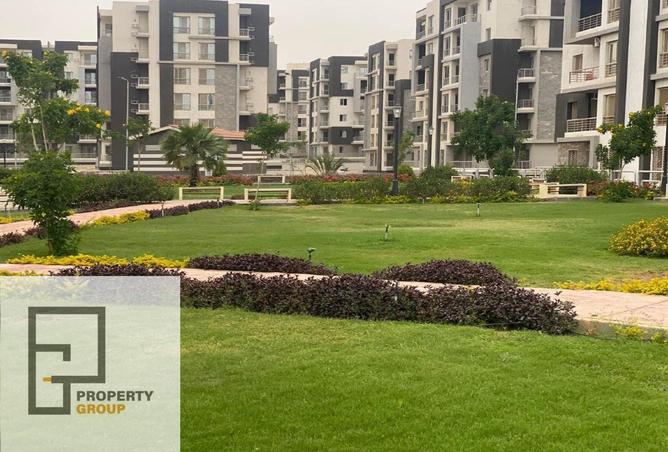 52445265 - Property Image 3