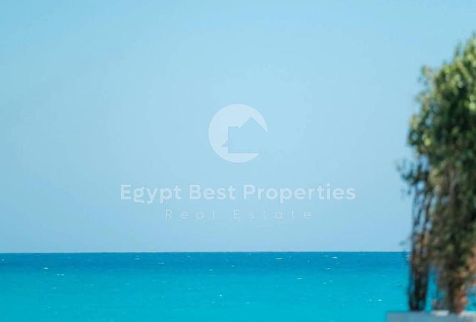 107133656 - Property Image 3