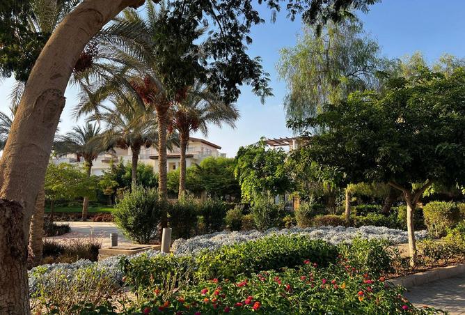 65916021 - صورة العقار 2