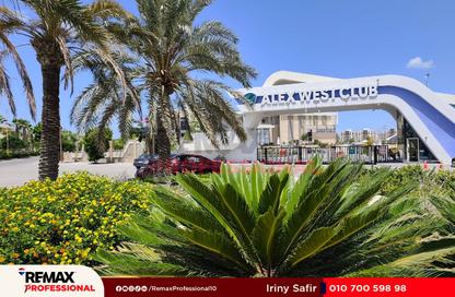 Apartment - 4 Bedrooms - 3 Bathrooms for sale in Alex West - Alexandria Compounds - Alexandria