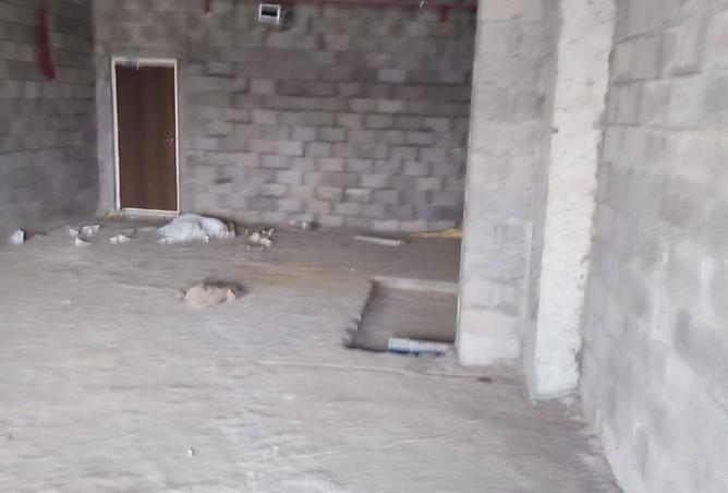 100648715 - Property Image 3