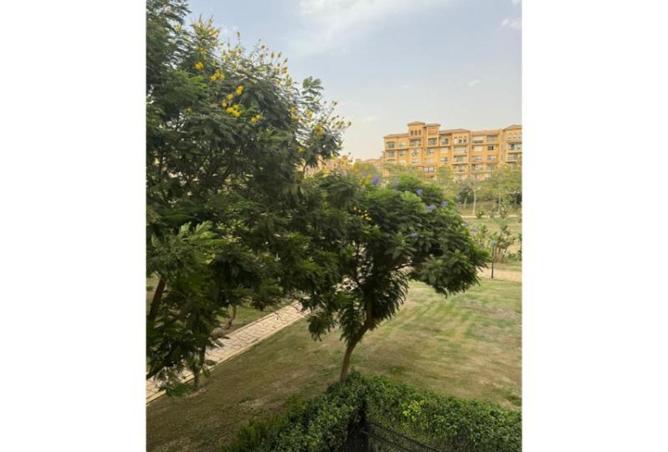 56009797 - صورة العقار 2