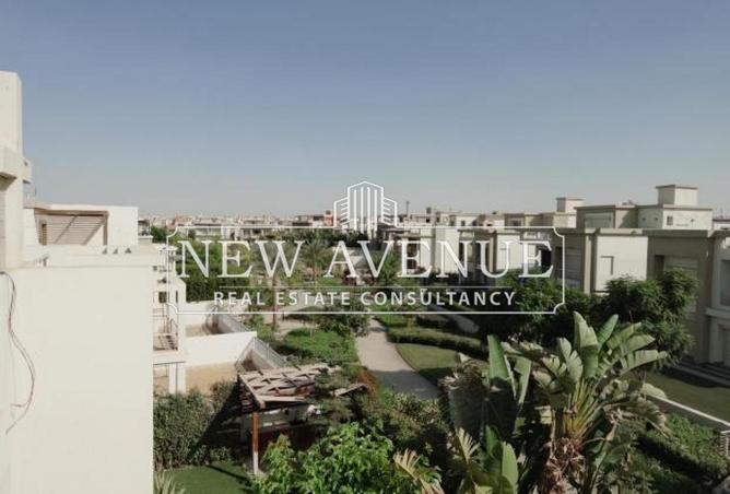 67469231 - Property Image 3