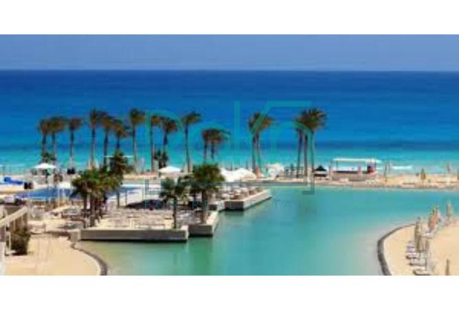 8420866 - Property Image 3