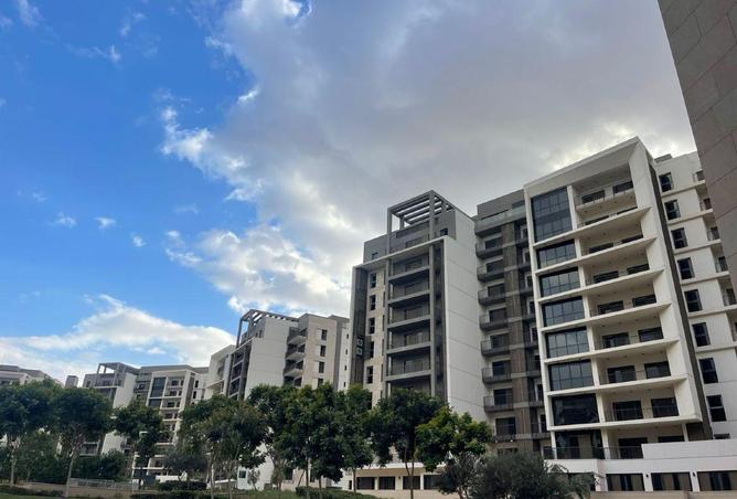 66684095 - Property Image 2