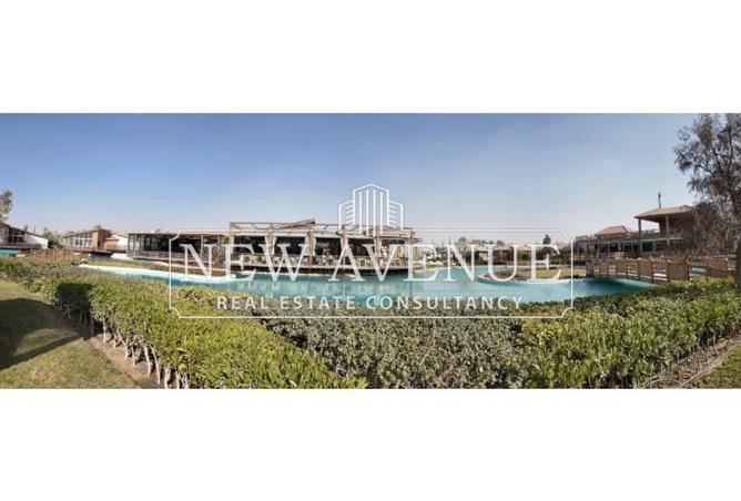 70358542 - صورة العقار 3