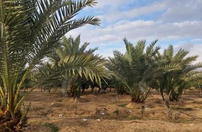 قطعة أرض - استوديو للبيع في جمعية احمد عرابى - مدينة العبور - القليوبية