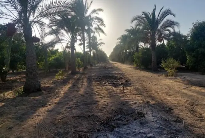 105728528 - صورة العقار 2