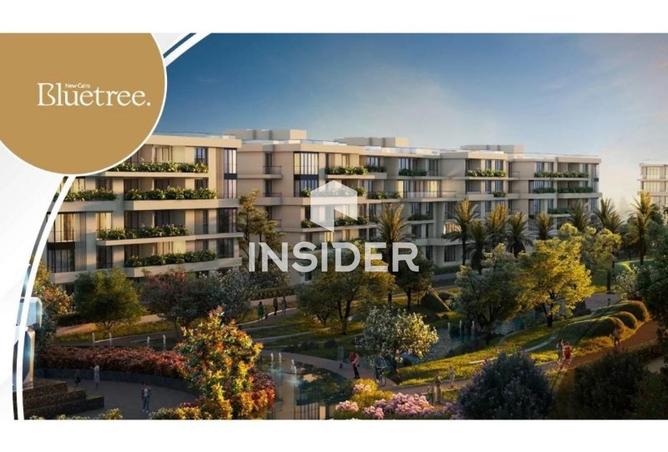 64908416 - صورة العقار 3