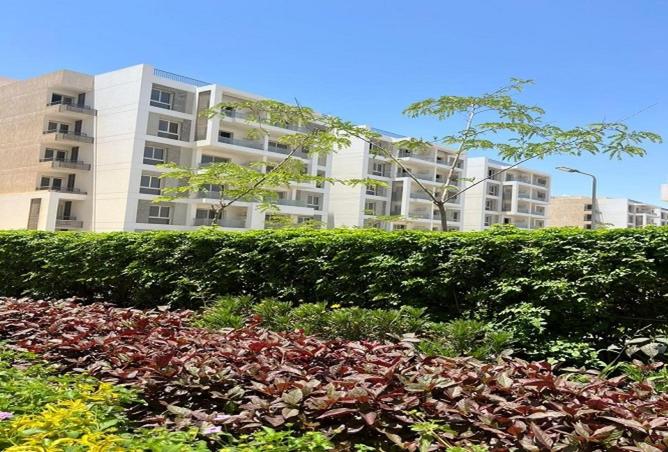 54505917 - الصورة الرئيسية للعقار