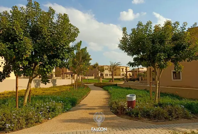 118798201 - صورة العقار 3