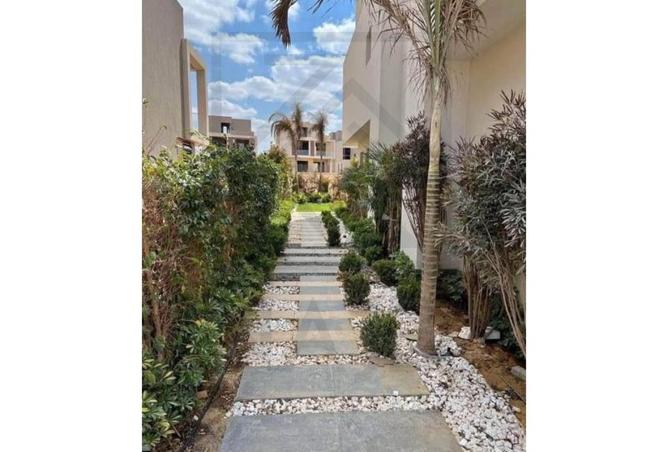 65914893 - Property Image 3