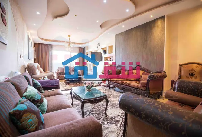 117536869 - Property Image 2