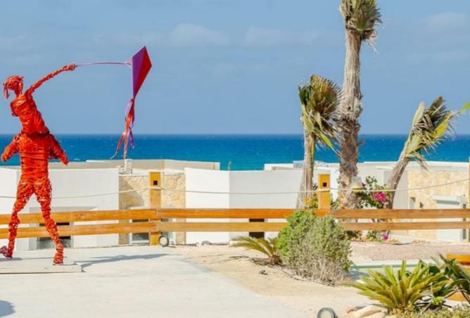 62170204 - صورة العقار 3