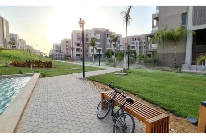 51165753 - Property Image 3