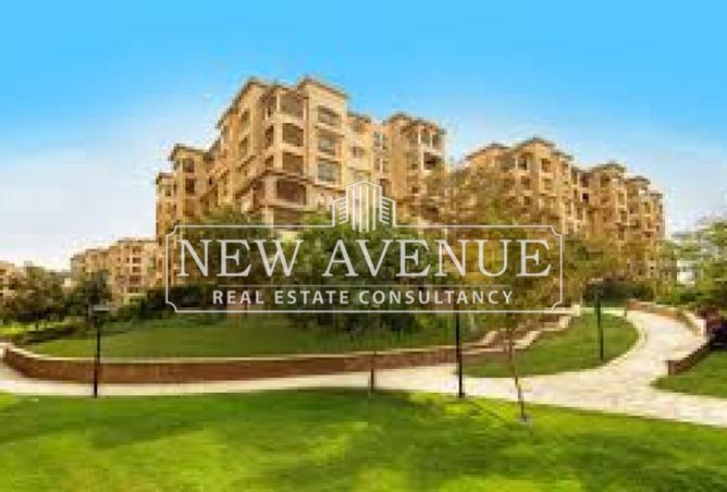 65149503 - صورة العقار 3