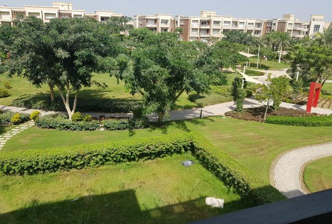 97722651 - صورة العقار 3
