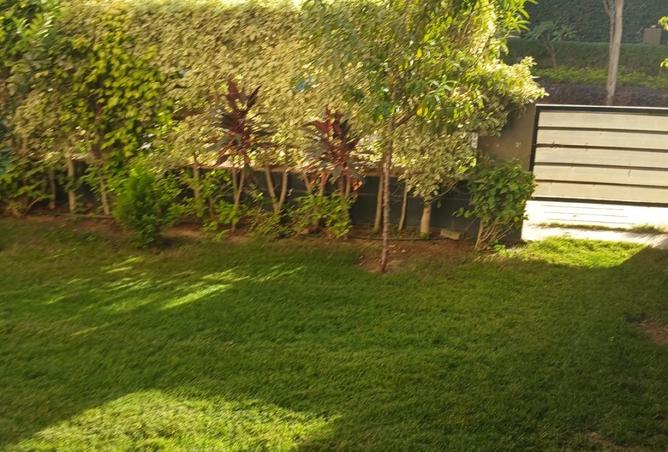 57993325 - Property Image 2