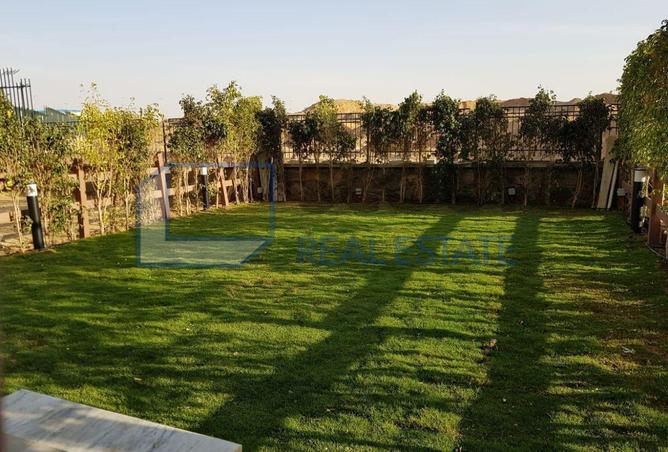 56498782 - صورة العقار 3