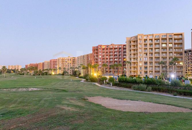 83136238 - صورة العقار 3