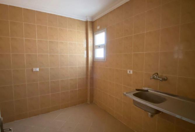 64384797 - Property Image 2