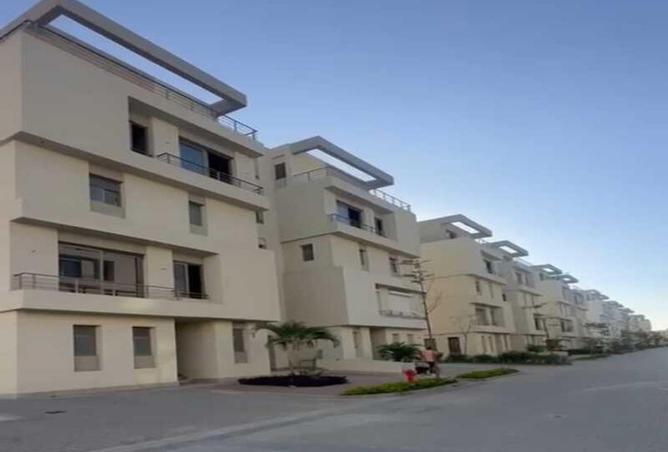 52450895 - Property Image 3