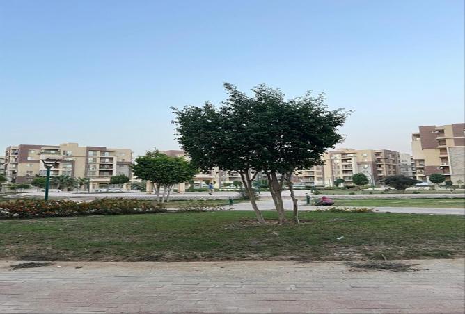 75404259 - الصورة الرئيسية للعقار