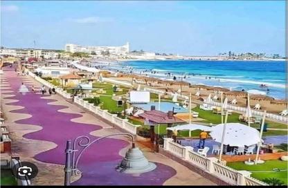 قطعة أرض - استوديو للبيع في شارع وحدة المنتزه - المعمورة البلد - حي ثان المنتزة - الاسكندرية
