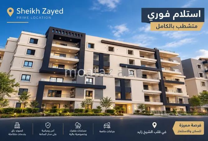 114900861 - Property Image 3