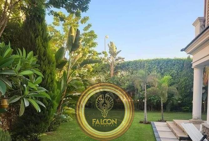 58241373 - صورة العقار 3