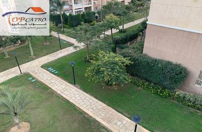 Apartment - 3 Bedrooms - 2 Bathrooms for rent in B11 - Madinaty - Cairo