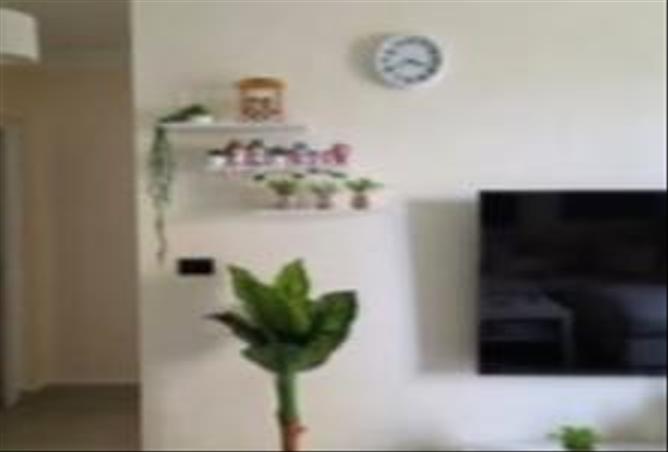 79724533 - Property Image 3
