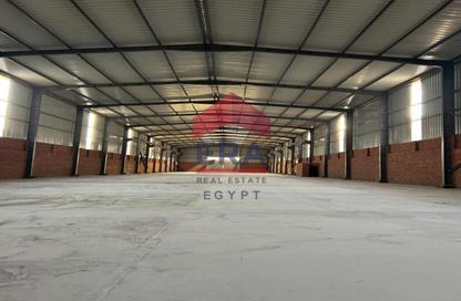 مصنع - استوديو - 1 حمام للايجار في طريق الاسمايلية الصحراوي - طريق فايد - المنطقة الصناعية - مدينة العاشر من رمضان - الشرقية