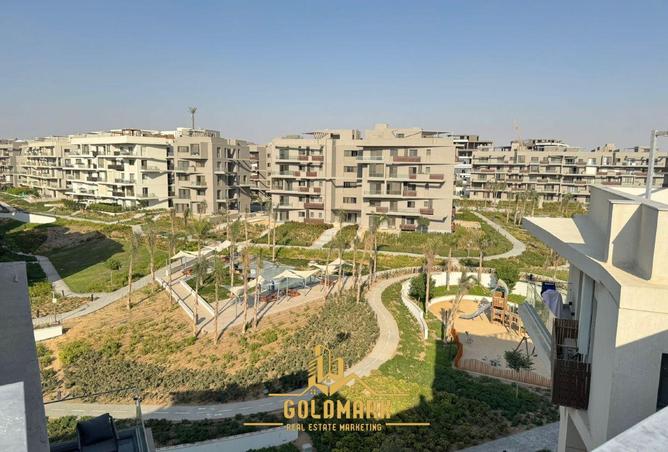 55246388 - Property Image 3