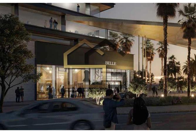 55499748 - صورة العقار 2