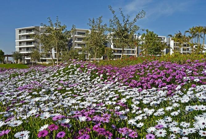 69312052 - صورة العقار 2