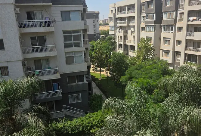104877870 - Property Image 3