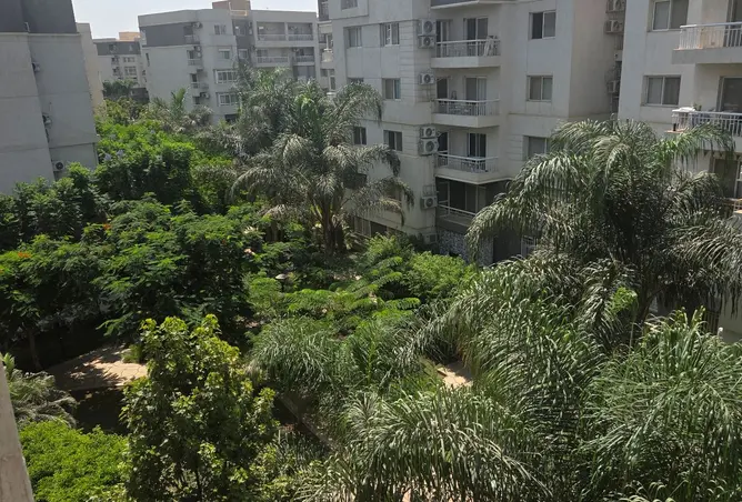 104877870 - Property Image 2