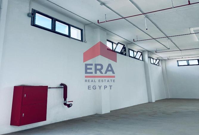 81303445 - صورة العقار 3