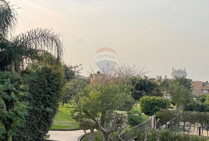 8718836 - صورة العقار 3