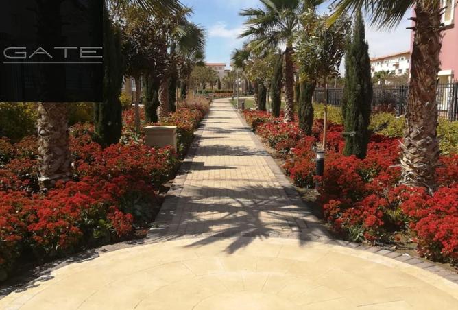 8687746 - Property Image 3