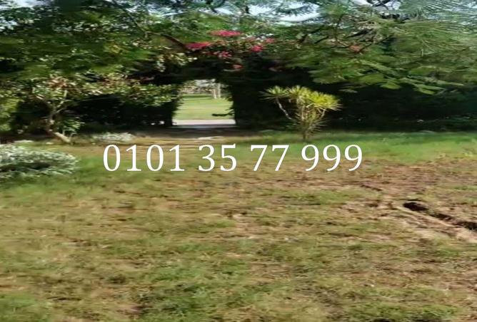 75392169 - Property Image 3