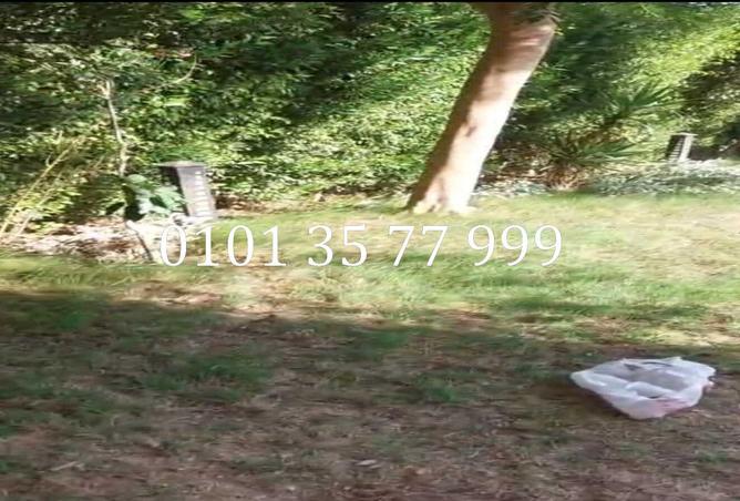 75392169 - Property Image 2