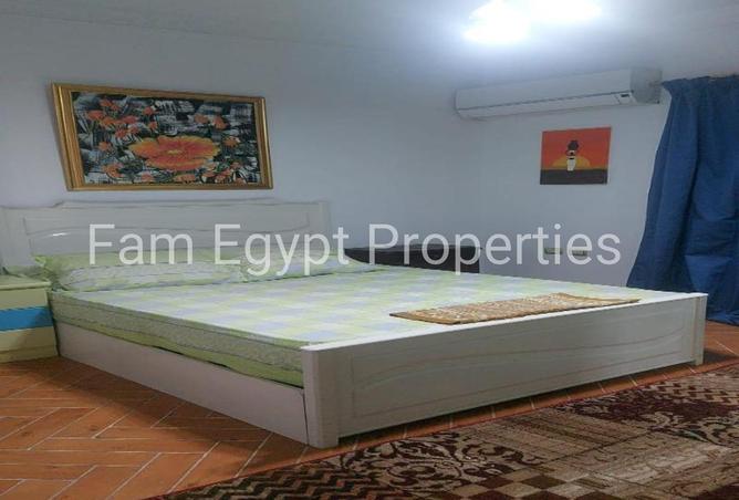 8686990 - Property Image 2