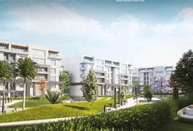 55746476 - Property Image 3